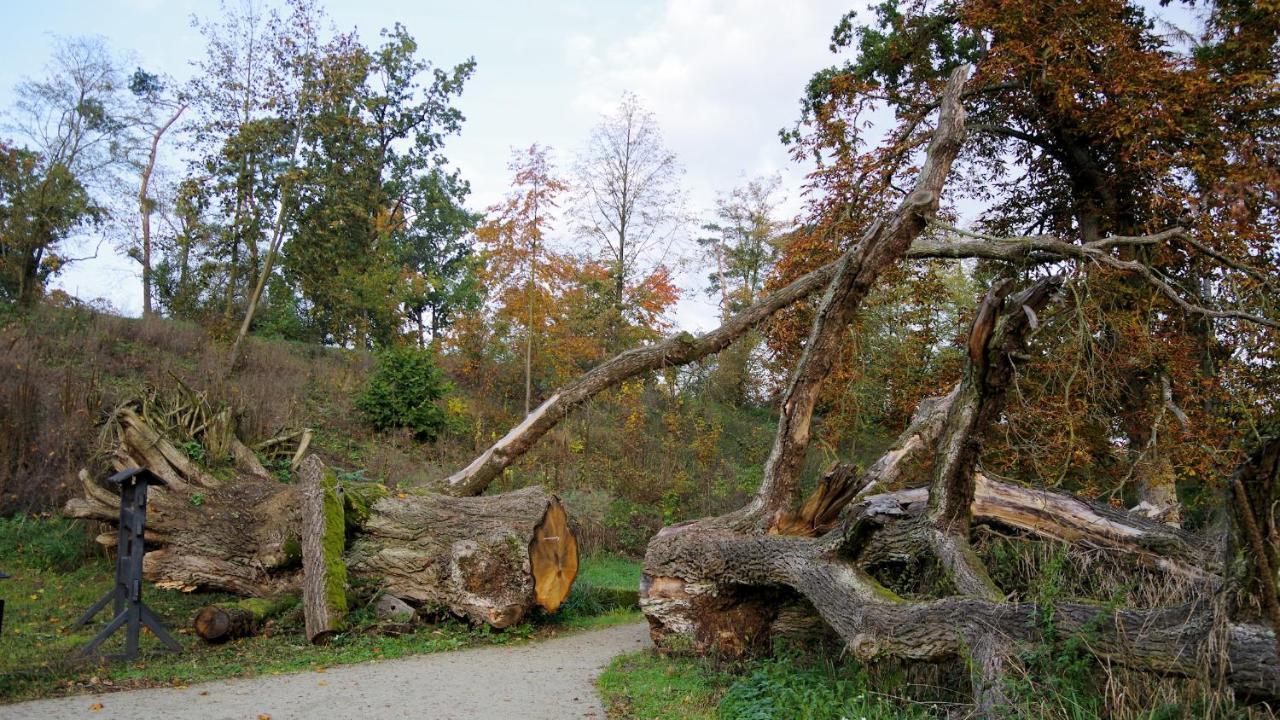 Palac Komierowo Sępólno Krajeńskie Екстериор снимка